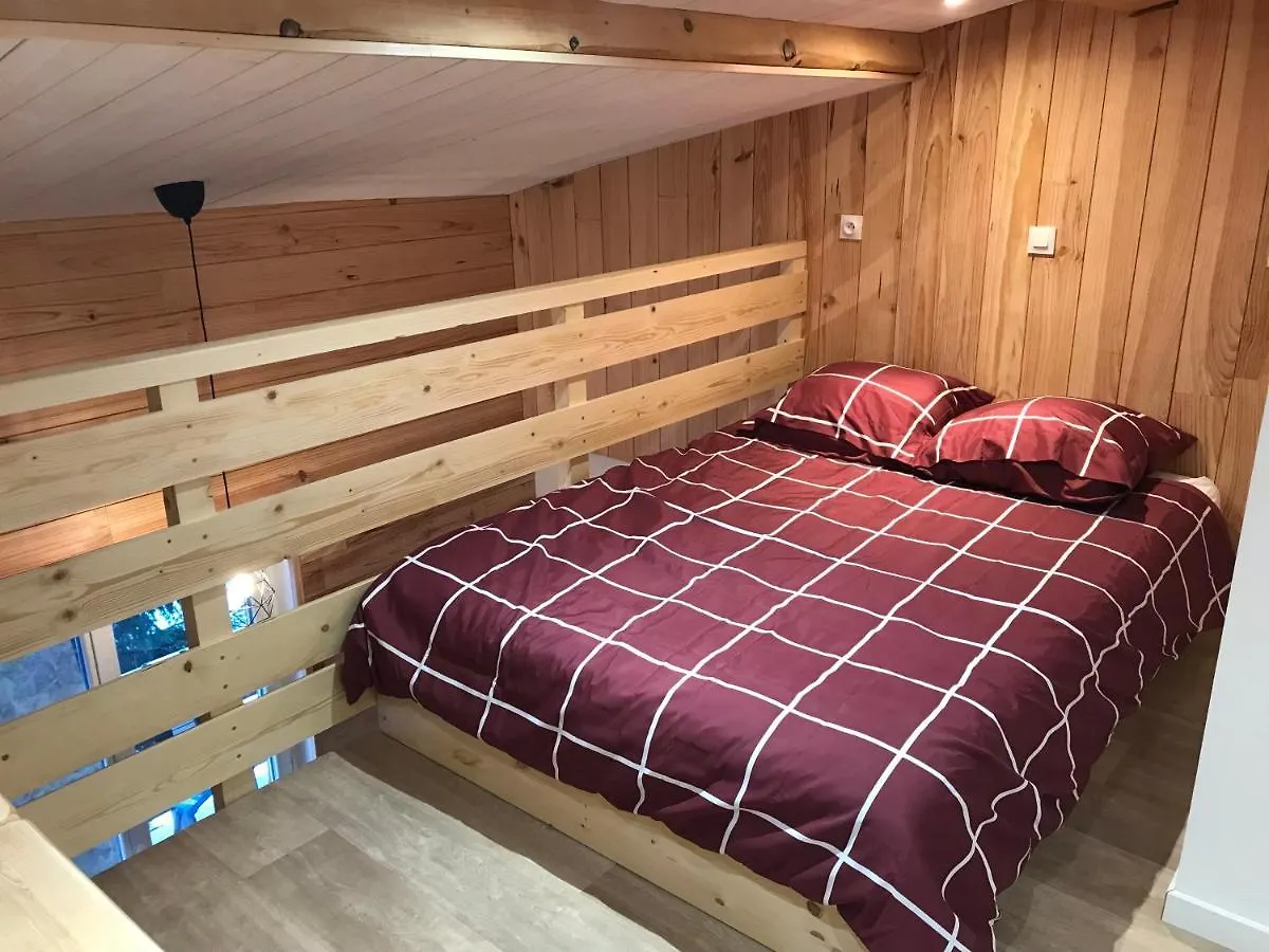 Appartement Ski Au Pied Les Deux Alpes France